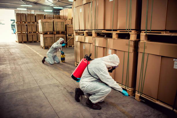 Wasp Removal Services in Eagle Lake, MN