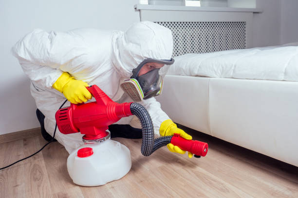 Best Commercial Pest Control Services  in Eagle Lake, MN