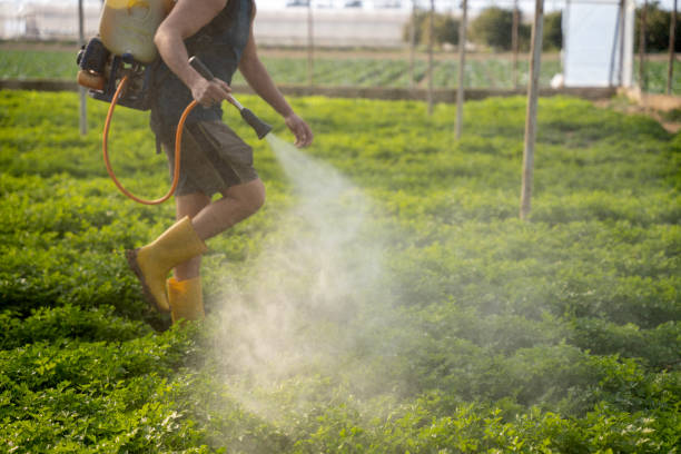 Best Pest Control for Businesses  in Eagle Lake, MN