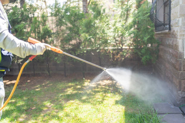 Best Termite Control Services  in Eagle Lake, MN