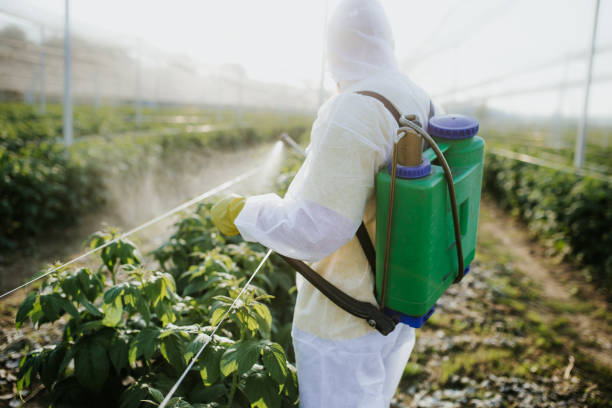 Professional Pest Control in Eagle Lake, MN